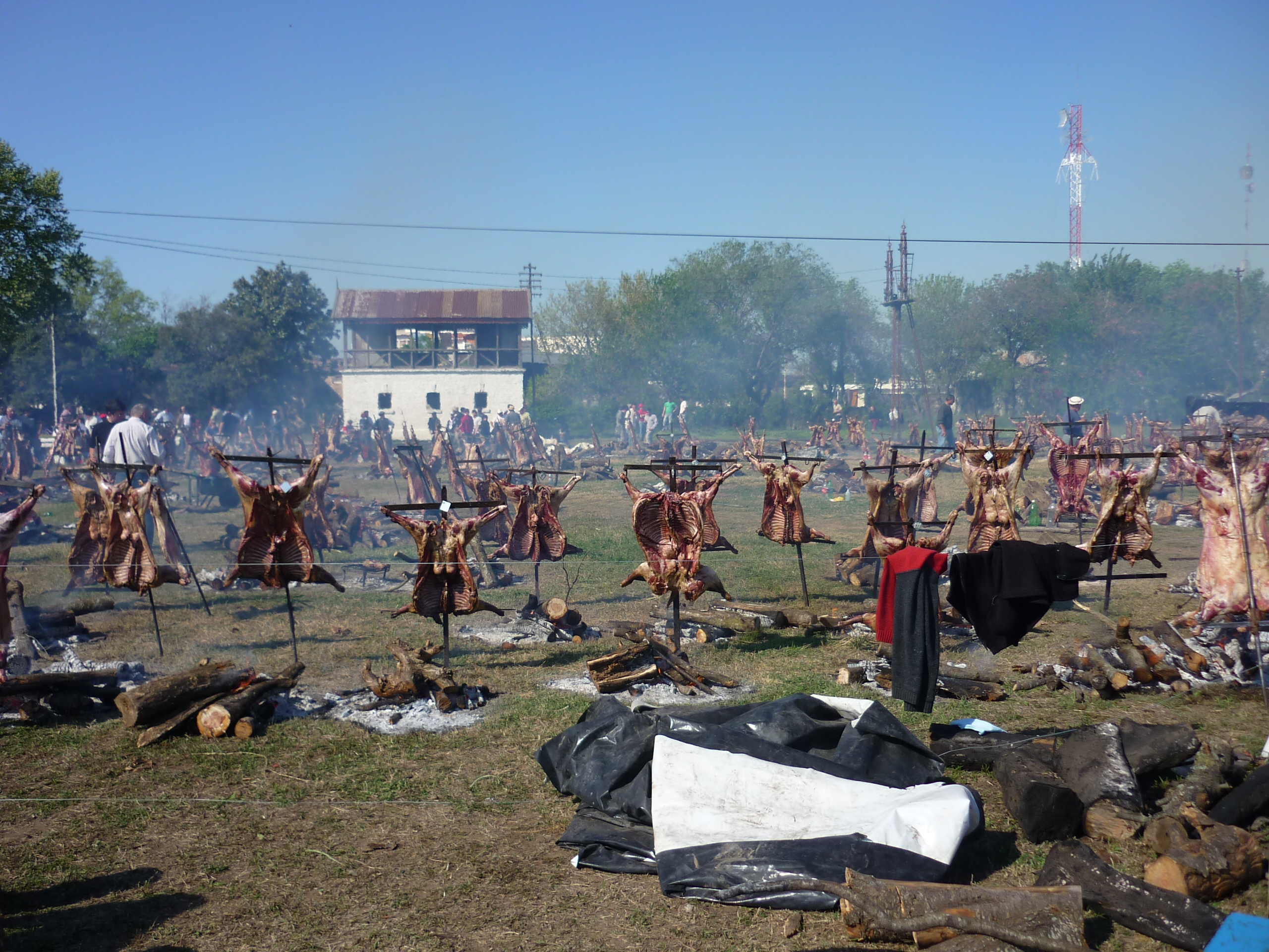 fotos/2010-10-10 - Fiesta del cordero/P1010479.JPG
